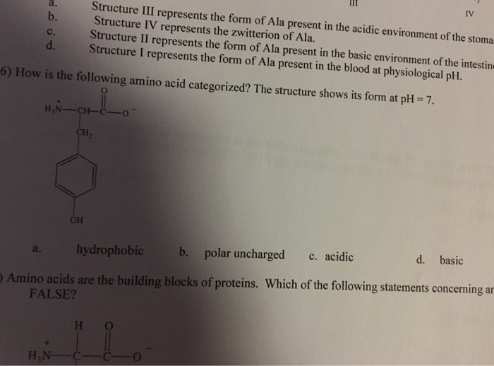 Solved 6) how is the following amino acid categorized? The