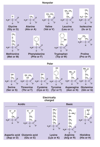 Solved Identify the asymmetric carbons in ribose and glucose | Chegg.com