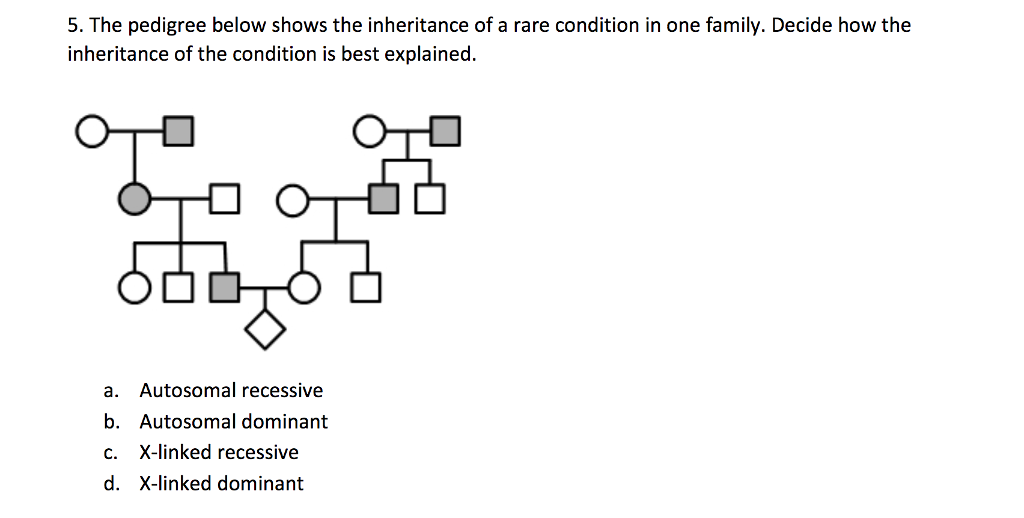 Solved The pedigree below shows the inheritance of a rare | Chegg.com