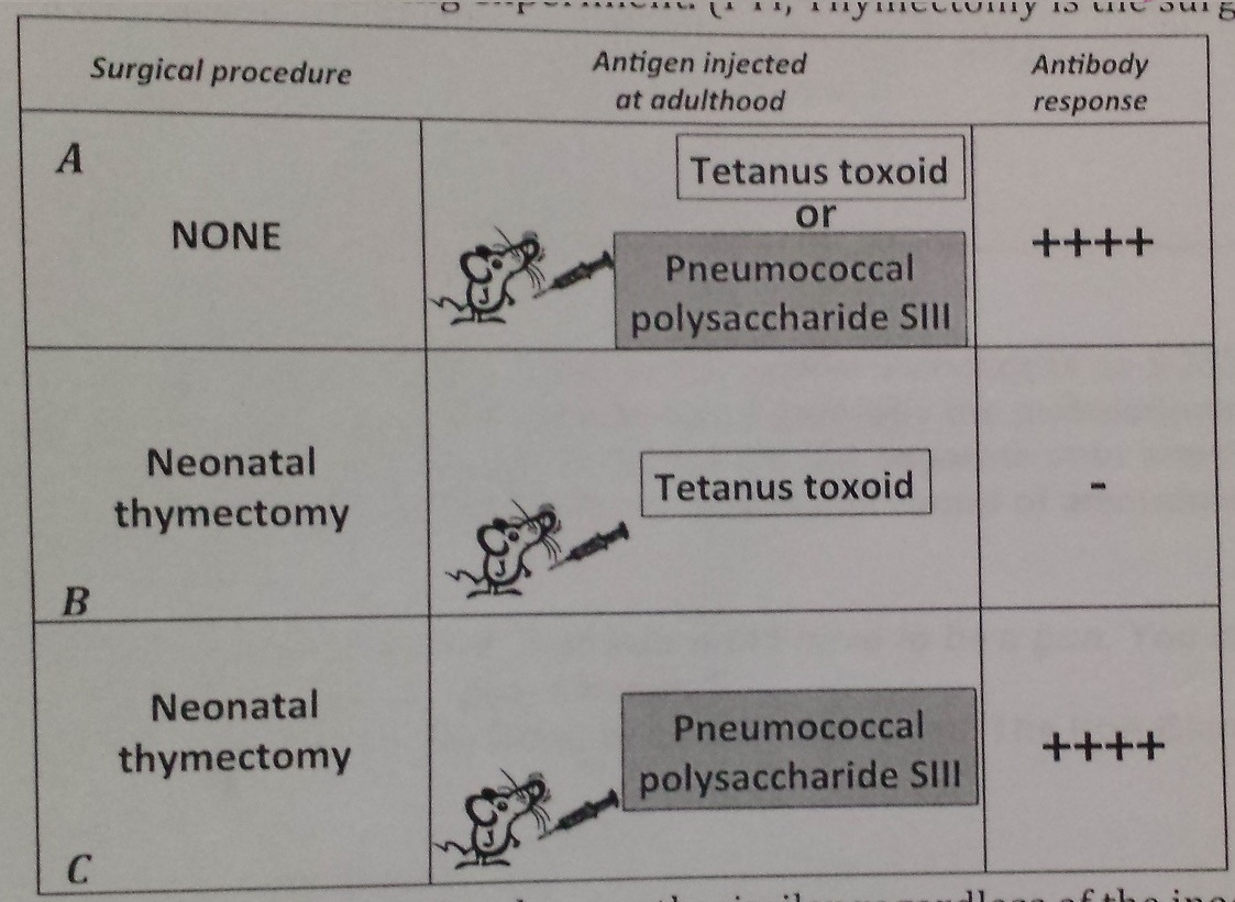 Solved Thymectomy is the surgical removal of the thymus.