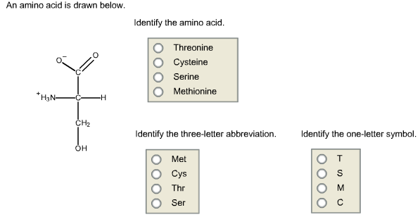 Solved An amino acid is drawn below Identify the amino acid. | Chegg.com