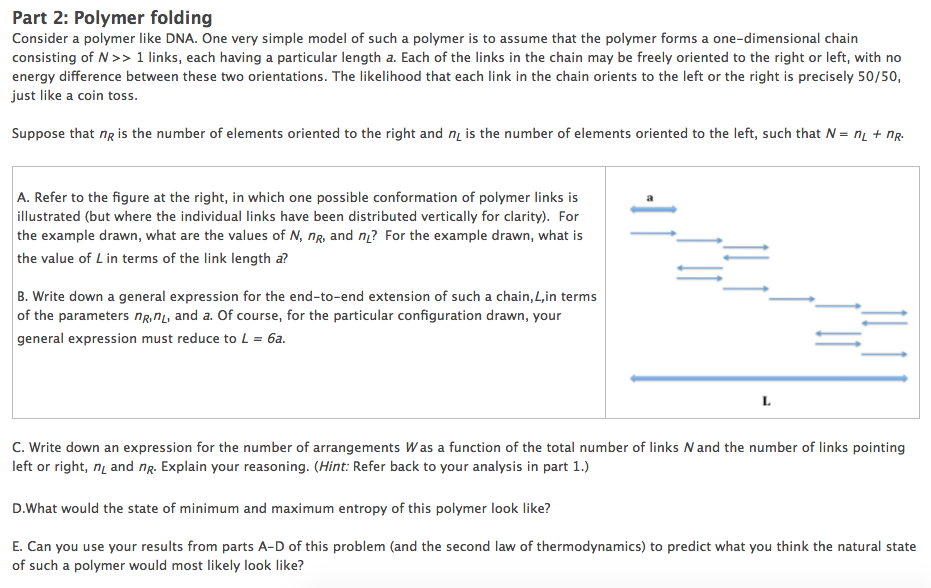 Solved Consider a polymer like DNA. One very simple model of | Chegg.com