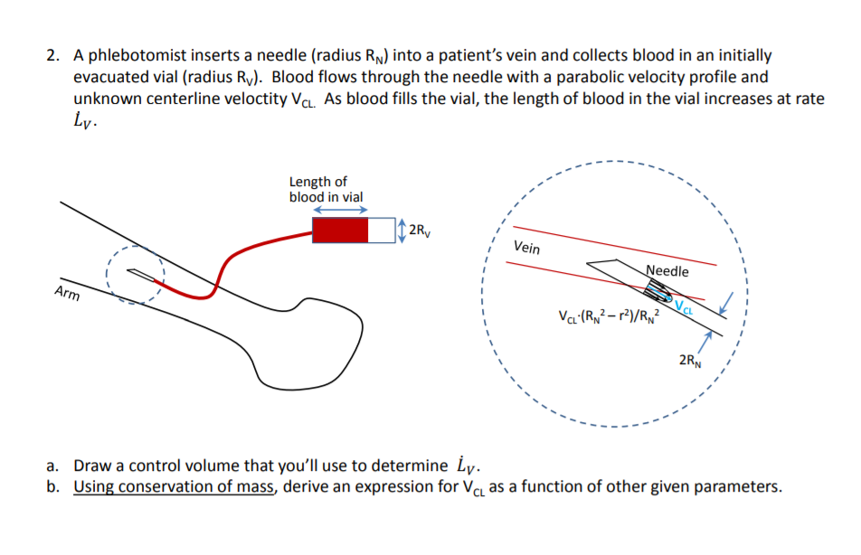 Diagram Of Veins In Arm For Phlebotomy