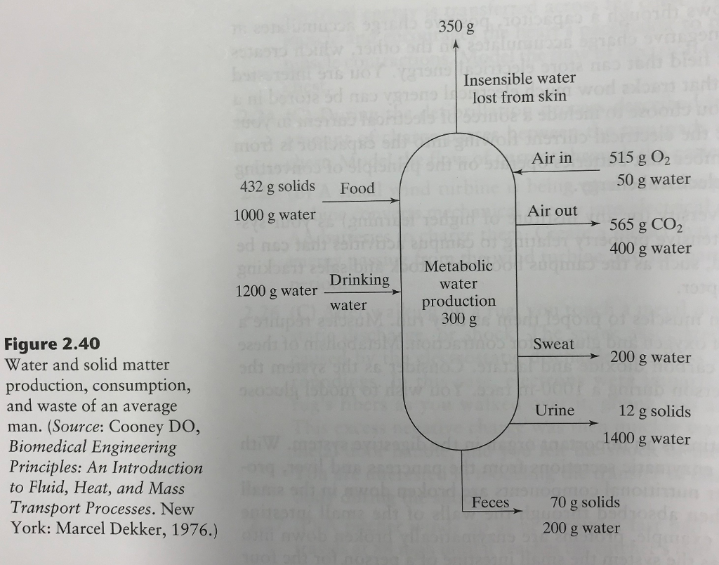 2.38 Water and solids enter and leave the human body