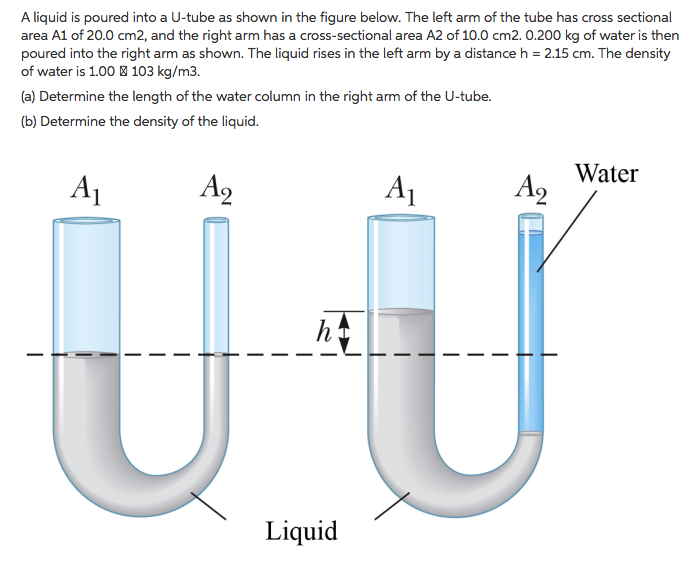 Solved A liquid is poured into a Utube as shown in the