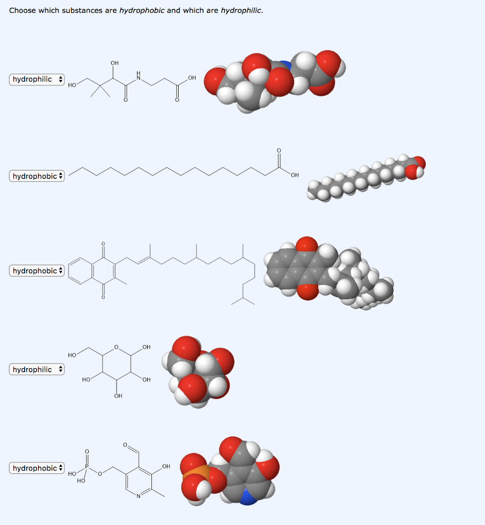 What Are Hydrophilic Substances