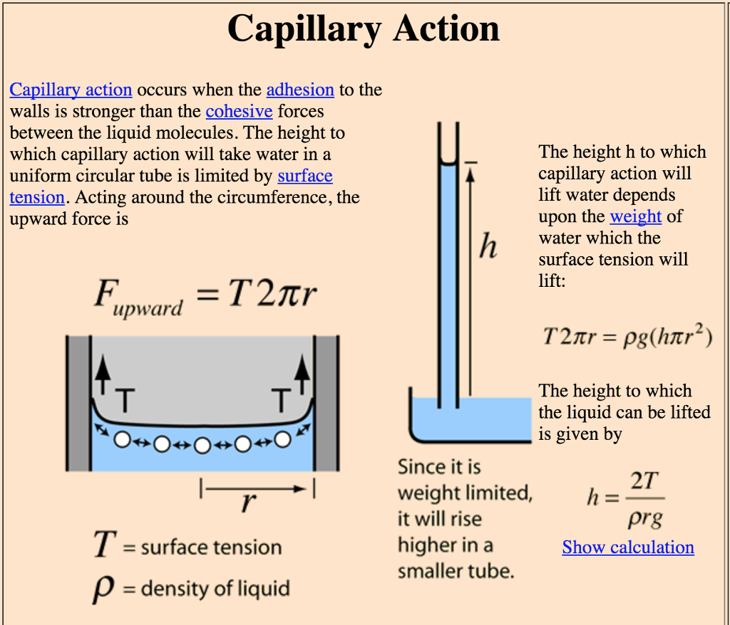 capillary-action-crash-course-biology-physical-properties-of-matter