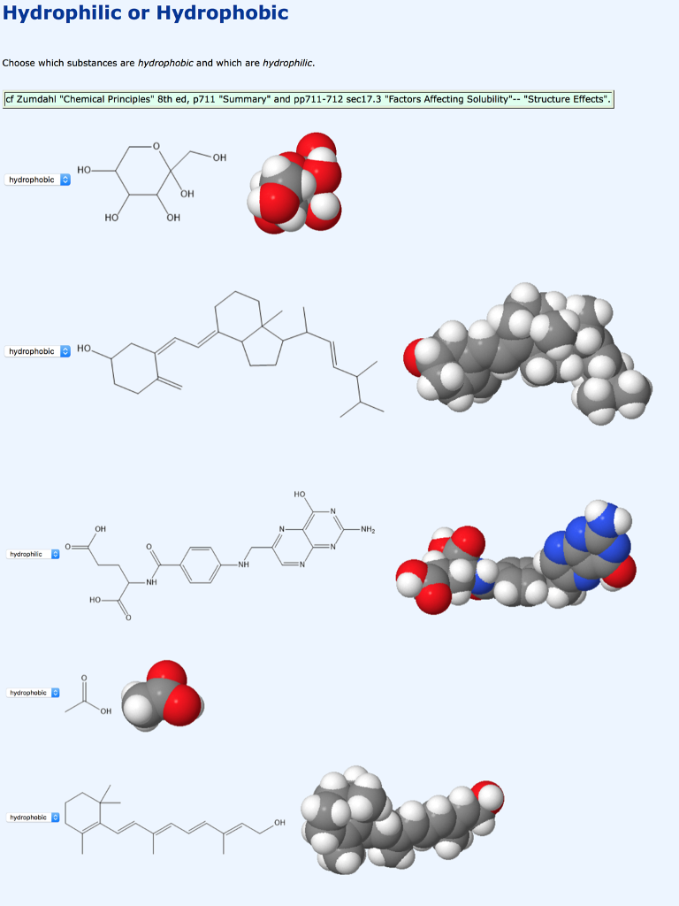 What Does Hydrophilic Mean And Which Part Is It