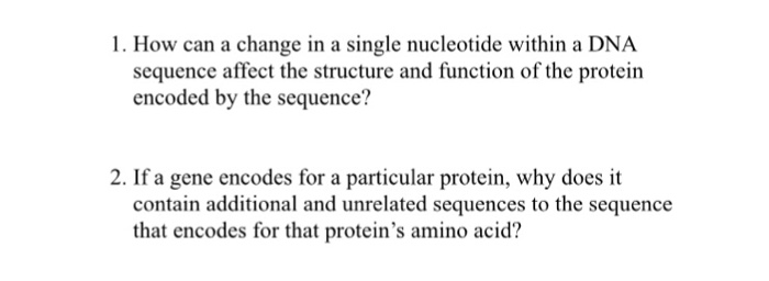Solved How can a change in a single nucleotide within a DNA | Chegg.com