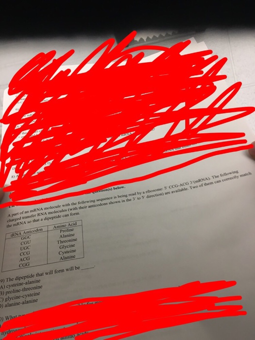 Solved A part of an mRNA molecule with the following | Chegg.com
