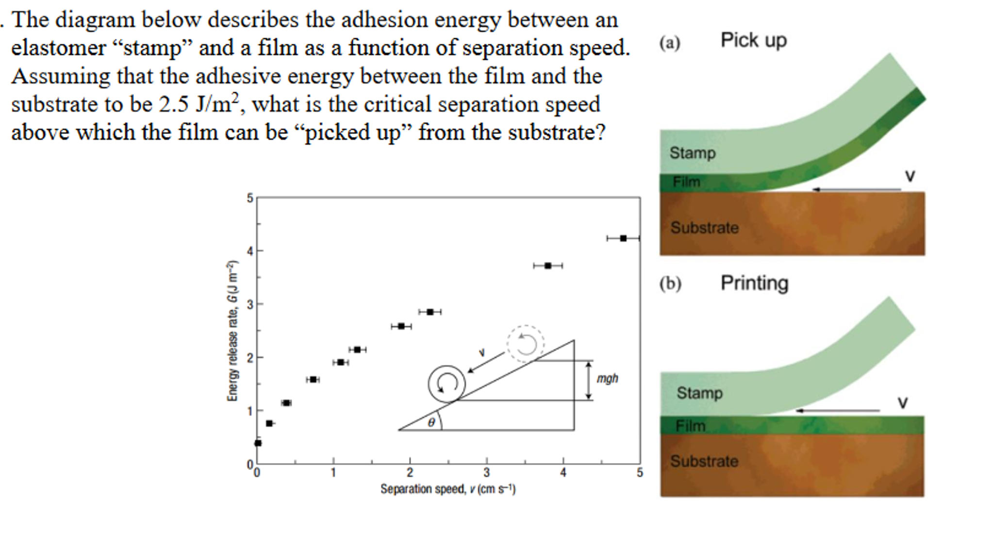 adhesion-vs-cohesion-javatpoint-adhesive-molecules-chemistry