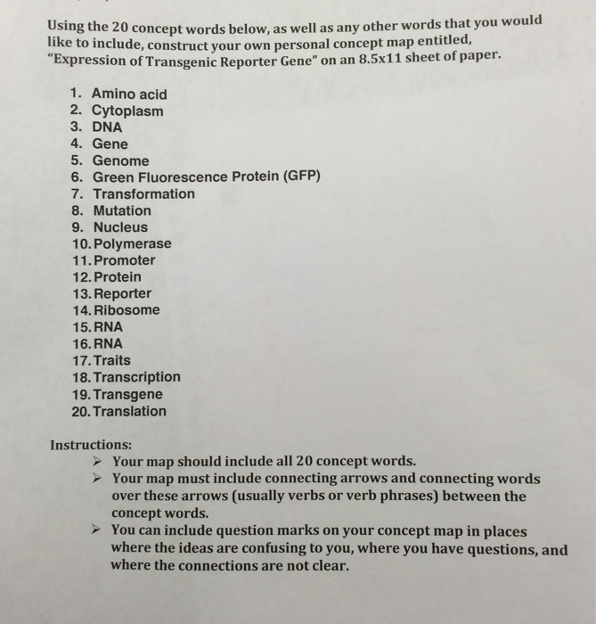 Solved Using the 20 concept words below, as well as any | Chegg.com