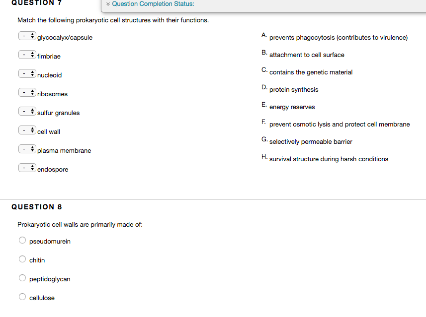 Solved QUESTION7 Question Completion Status: Match the | Chegg.com