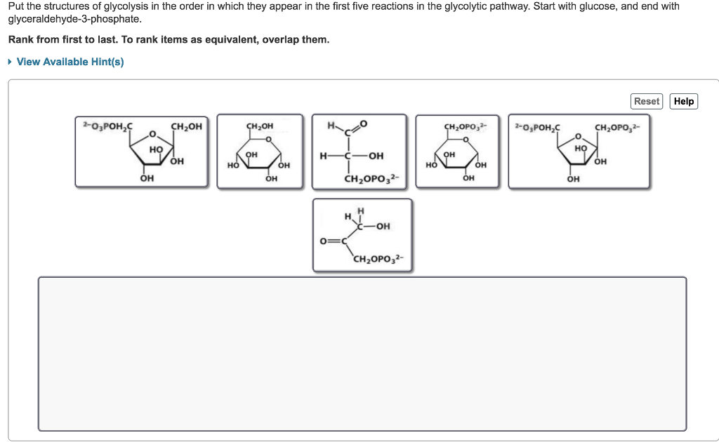 Solved Put the structures of the substrates and products of | Chegg.com