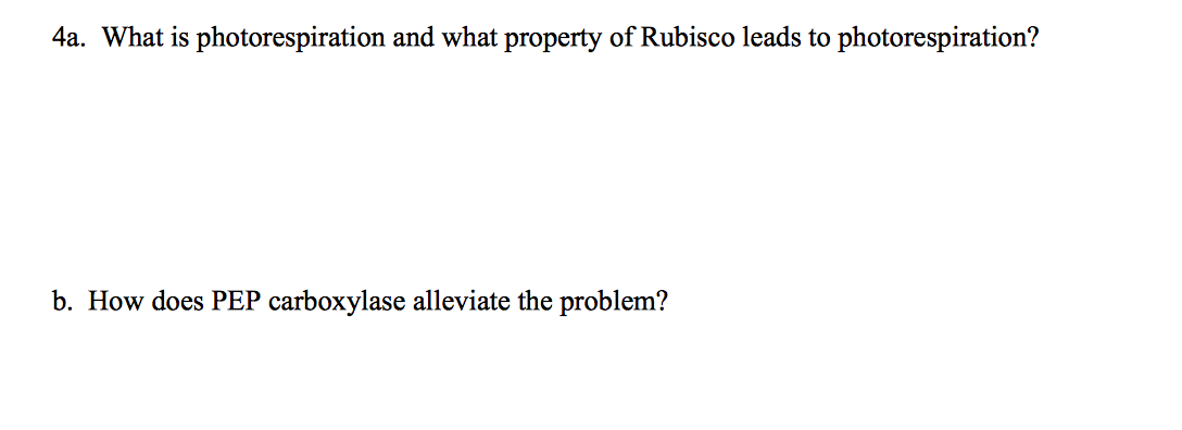 solved-what-is-photorespiration-and-what-property-of-rubisco-chegg