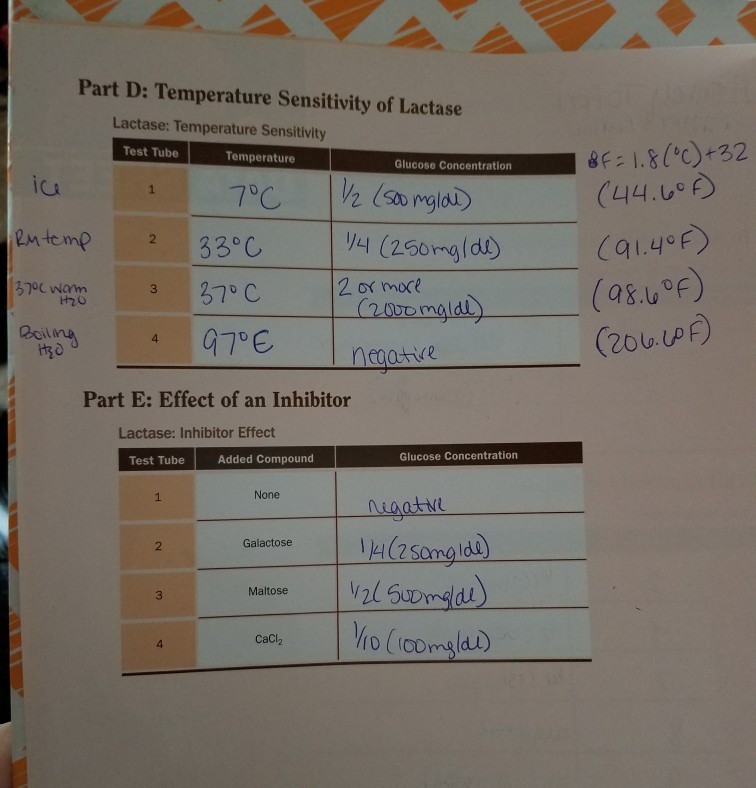 Solved Part D Temperature Sensitivity of Lactase Lactase