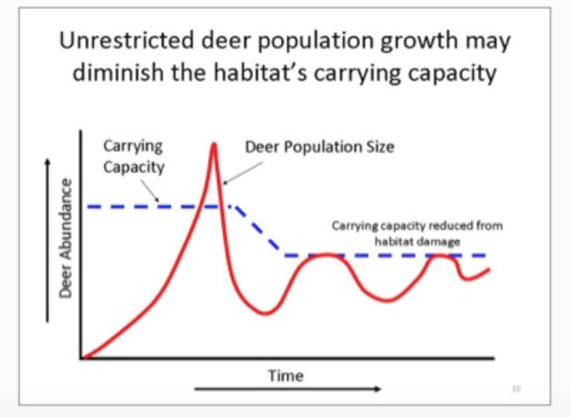 Carrying Capacity Deer