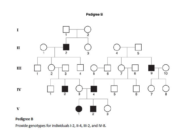 Solved 11. In the following pedigrees, the disorders or | Chegg.com