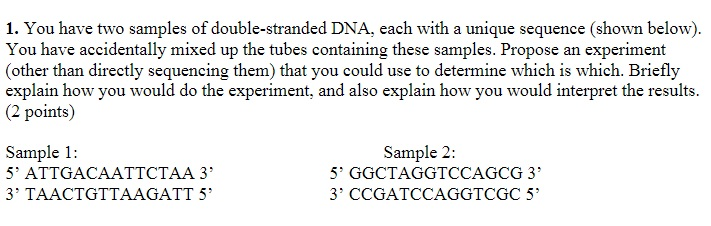 Solved 1. You have two samples of double-stranded DNA, each | Chegg.com