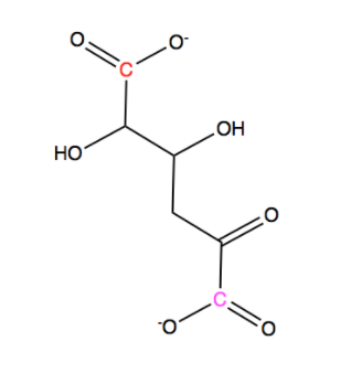 Solved There Are Many Aldolase Enzymes That Catalyze Similar 