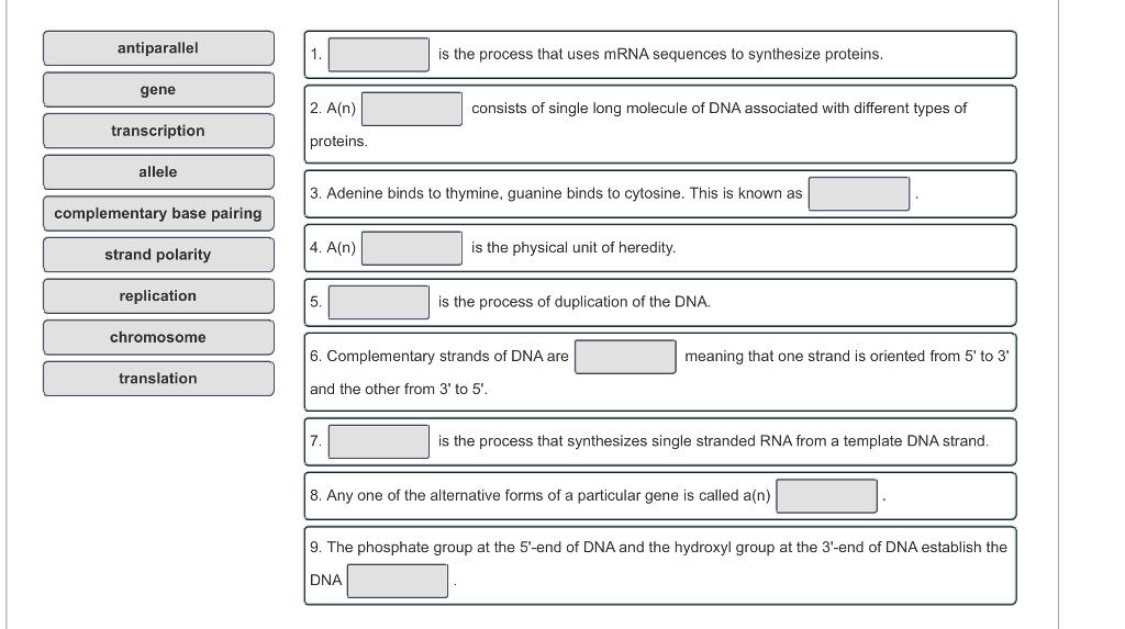 Concept Attainment Quiz Answers Vocabulary Matching