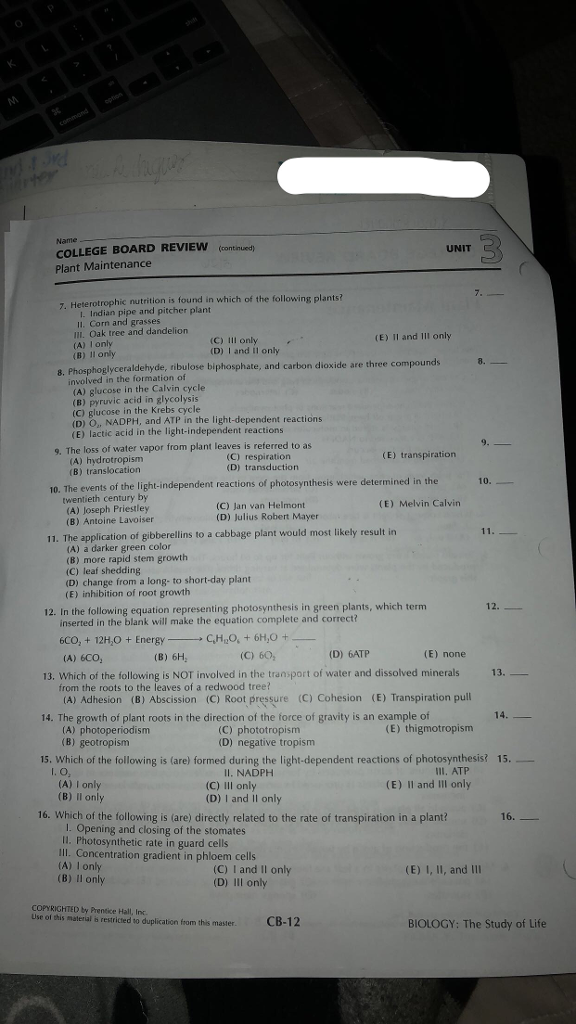 What Do You Mean By The Term Photoperiodism