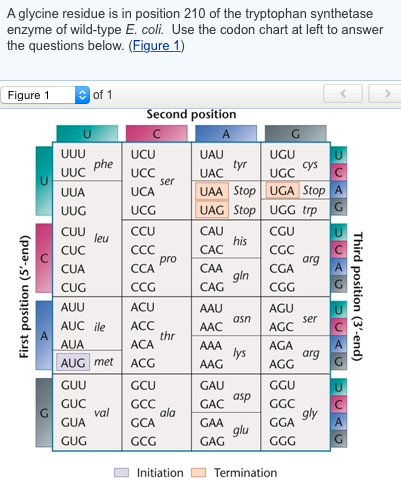 Solved: If The Codon Specifying Glycine Is GGA, How Many S... | Chegg.com