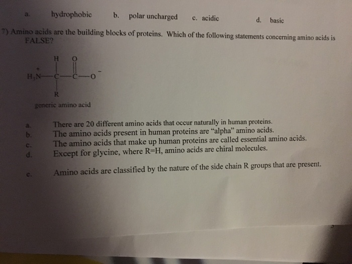 Solved 7) amino acids are the building blocks of proteins.