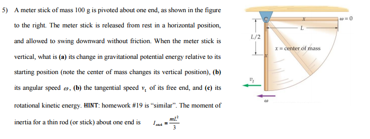 Solved A meter stick of mass 100 g is pivoted about one end, | Chegg.com