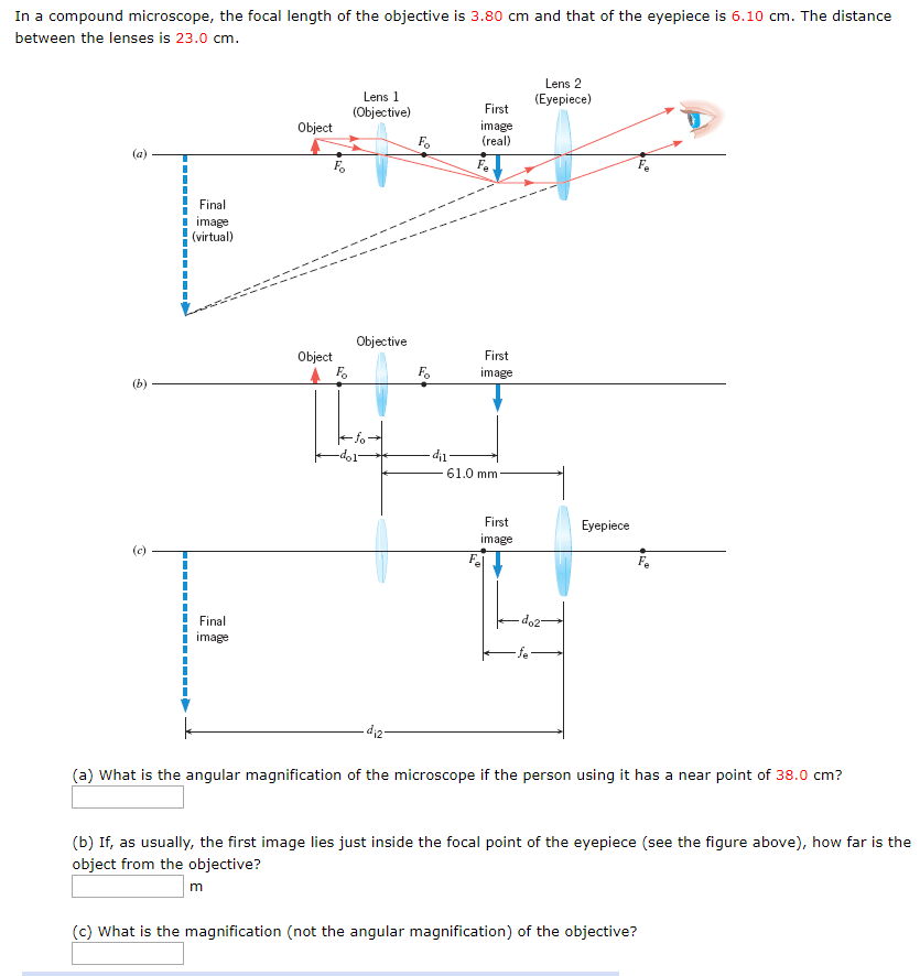 solved-in-a-compound-microscope-the-focal-length-of-the-chegg