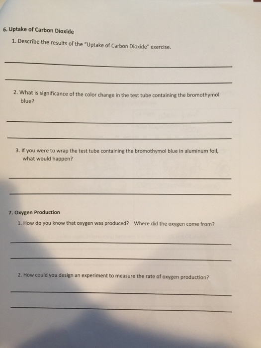 Solved 6. Uptake of Carbon Dioxide 1. Describe the results | Chegg.com