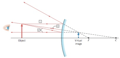 Solved A convex mirror has a focal length of -24 cm. Find | Chegg.com