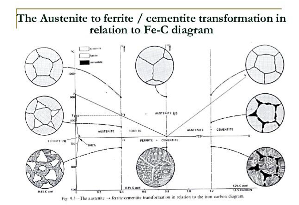 Ferrite Austenite