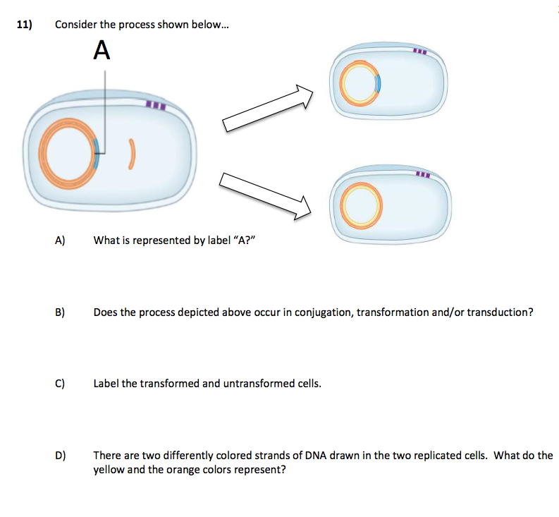 Solved Consider the process shown below... What is | Chegg.com
