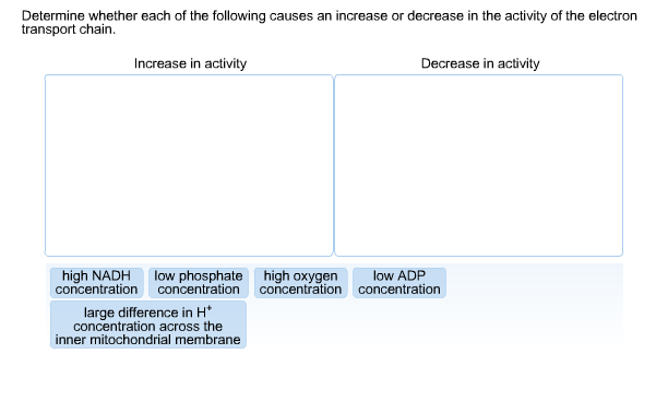 Solved Determine whether each of the following causes an | Chegg.com