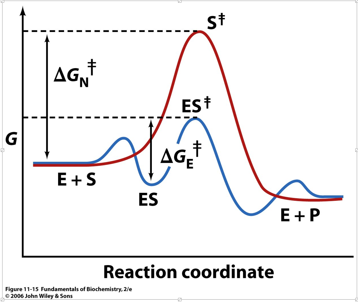 Solved Describe the fatal flaw of this energy diagram that | Chegg.com
