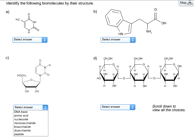 solved-identify-the-following-biomolecules-by-their-chegg