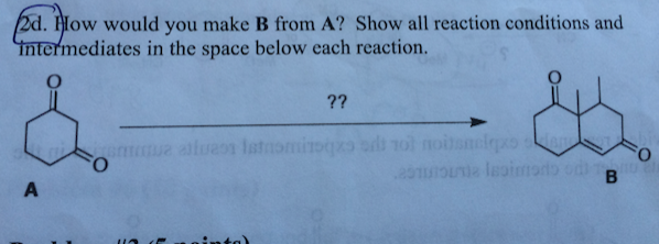 Solved How Would You Make B From A? Show All Reaction | Chegg.com