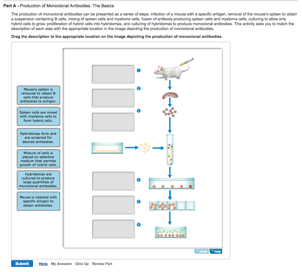 Biology Archive February 23, 2017