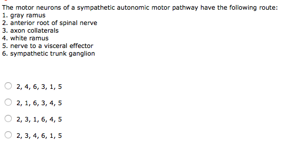 Solved The motor neurons of a sypathetic autonomic motor | Chegg.com