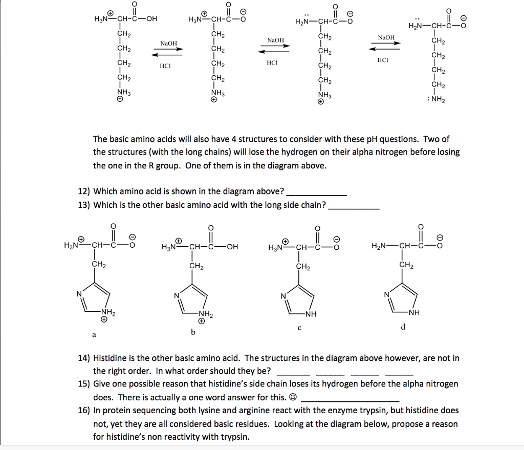 H2N CH-CO H3N CH-C- OH NaOH CH-CH3 CH-CH3 CH-CH3 HCl | Chegg.com