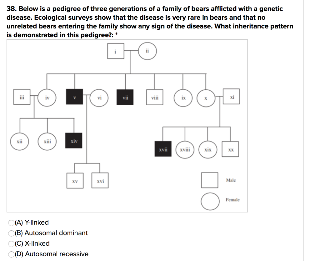 Solved 38. Below is a pedigree of three generations of a | Chegg.com