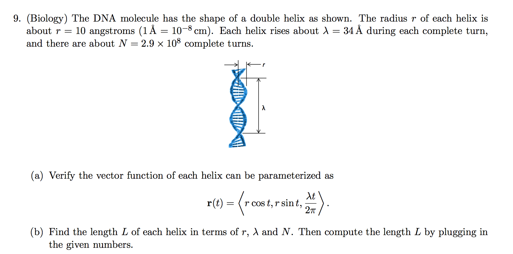 Solved The DNA molecule has the shape of a double helix as