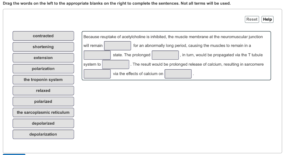 Solved Drag the words on the left to the appropriate blanks