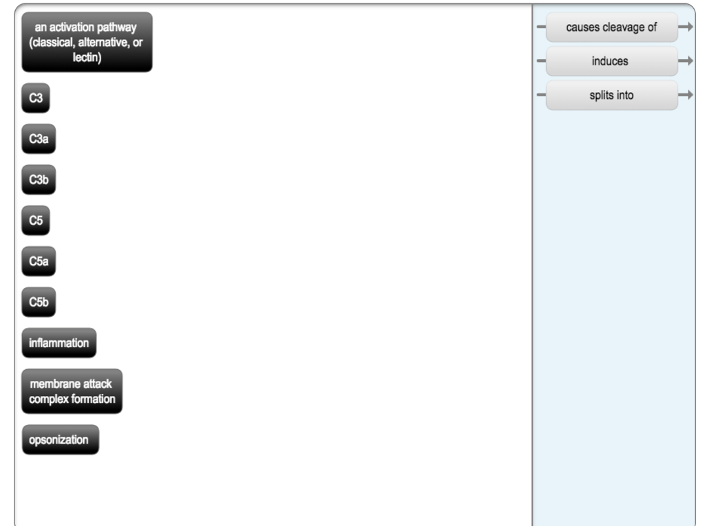Solved causes cleavage of> an activation pathway (classical, | Chegg.com