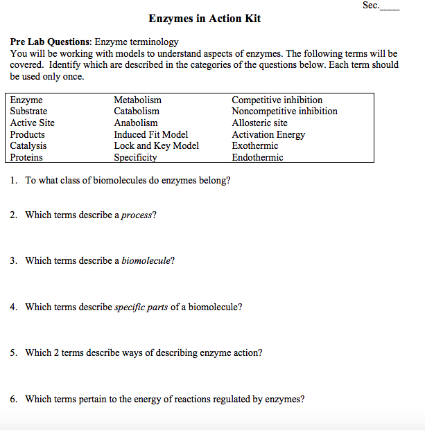 Solved Sec. Enzymes in Action Kit Pre Lab Questions Enzyme