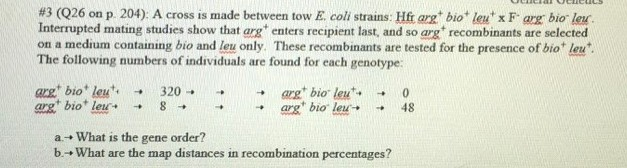 Solved A cross is made between tow E coli strains: Hfr arg^+ | Chegg.com