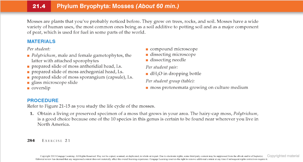 Solved 21 4 Phylum Bryophyta Mosses About 60 Min Mosses Chegg