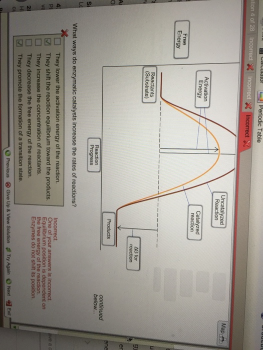 Solved What ways do enzymatic catalysts increase the rates