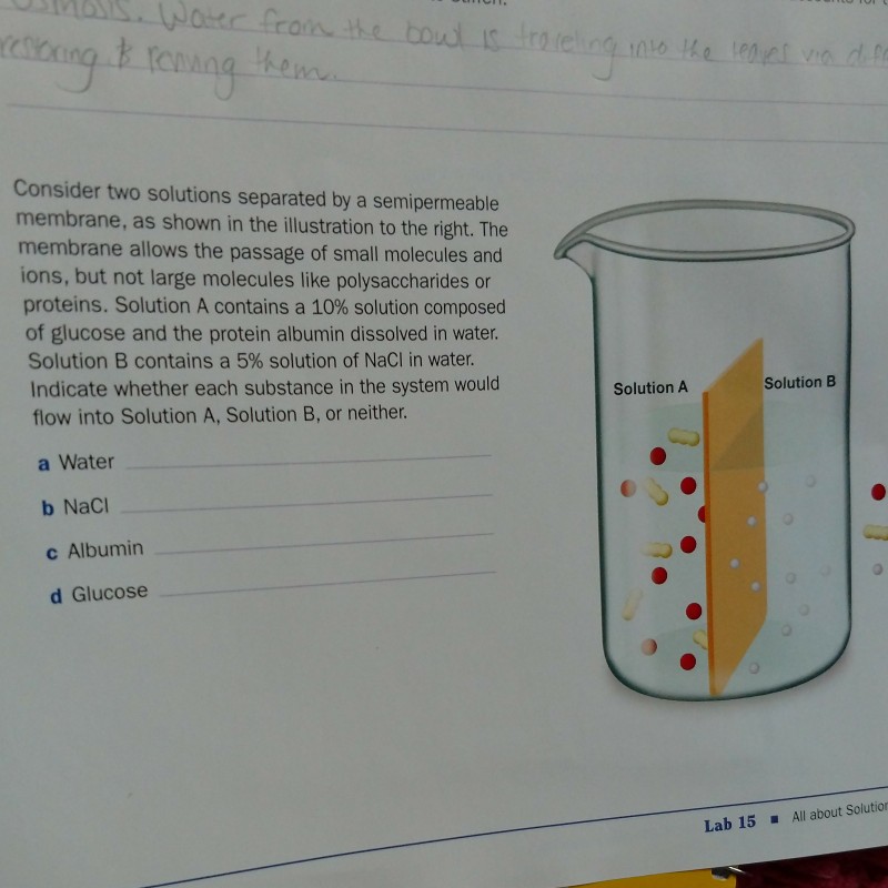 Solved Consider two solutions separated by a semipermeable